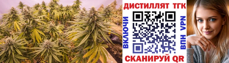 где можно купить   Тында  Дистиллят ТГК жижа 